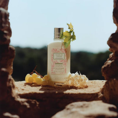 L'OCCITANE Limited Edition Cherry Blossom Body Lotion 250ml