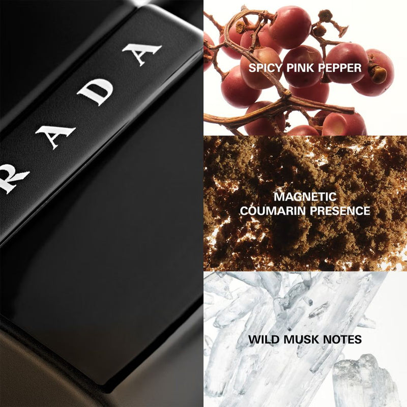 Prada Luna Rossa Black Eau de Parfum