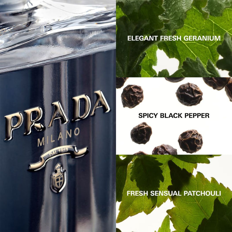 Prada L&