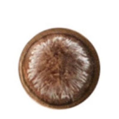 MAC 209 Eye Liner Brush