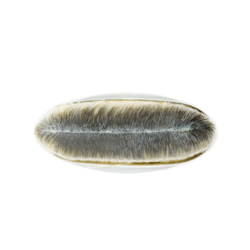 MAC 190 Foundation Brush