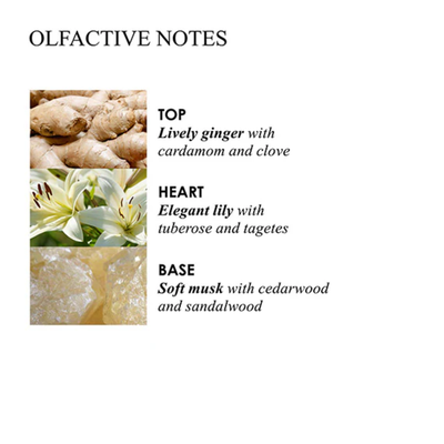 Molton Brown Hand Wash Duo Gift Set — Heavenly Gingerlily & Rhubarb & Rose (2 x 100ml)