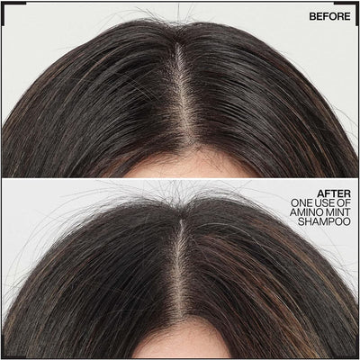 Redken Amino Mint Scalp Cleansing for Greasy Hair Shampoo and All Soft Conditioner Bundle