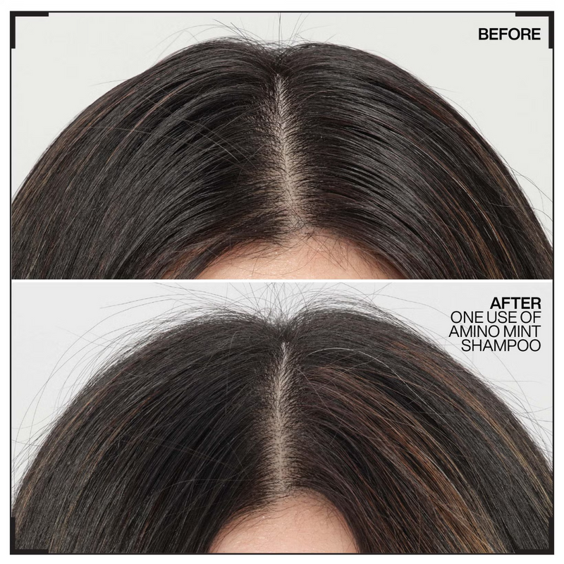 Redken Amino Mint Scalp Cleansing Shampoo For Greasy Hair and Oily Scalps 300ml
