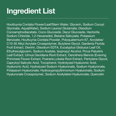 Anua Heartleaf Quercetinol Pore Deep Cleansing Foam 150ml