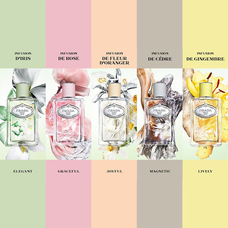 Prada Les Infusions de Gingembre Eau de Parfum 100ml