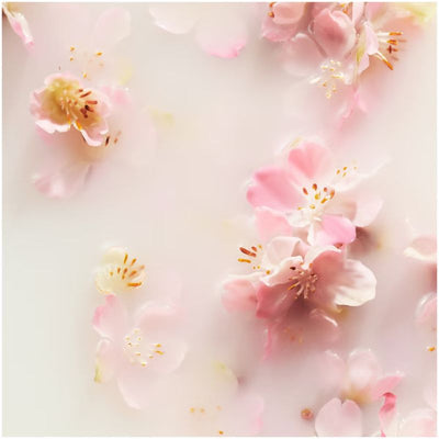 Rituals The Ritual of Sakura Rice Milk & Cherry Blossom Whipped Body Cream 220ml