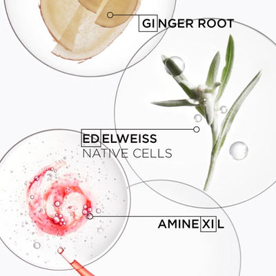 Kérastase Genesis Discovery Set for Hair Fall Due to Breakage