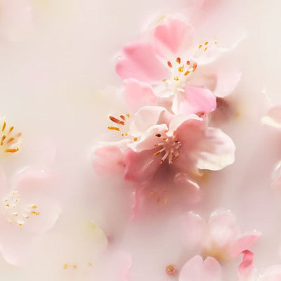 RITUALS The Ritual of Sakura Cherry Blossom & Rice Milk Foaming Shower Gel 50ml