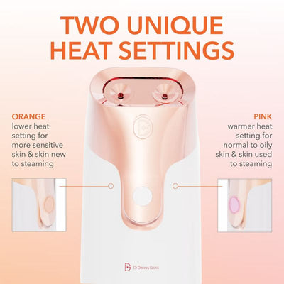 Dr Dennis Gross Skincare Pro Facial Steamer Device