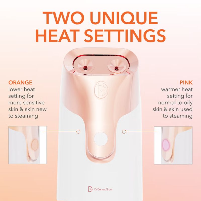 Dr Dennis Gross Skincare Pro Facial Steamer Device