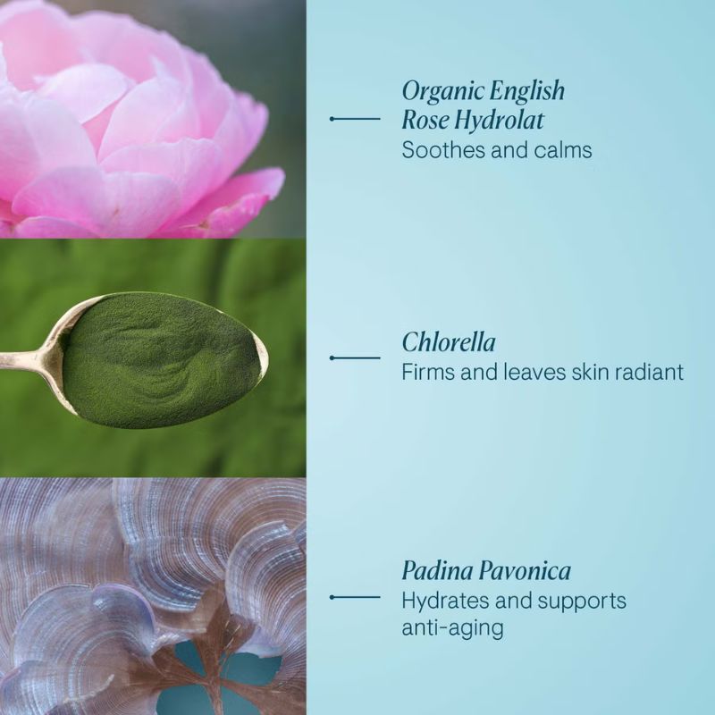 Elemis Pro-Collagen Rose Marine Cream 50ml
