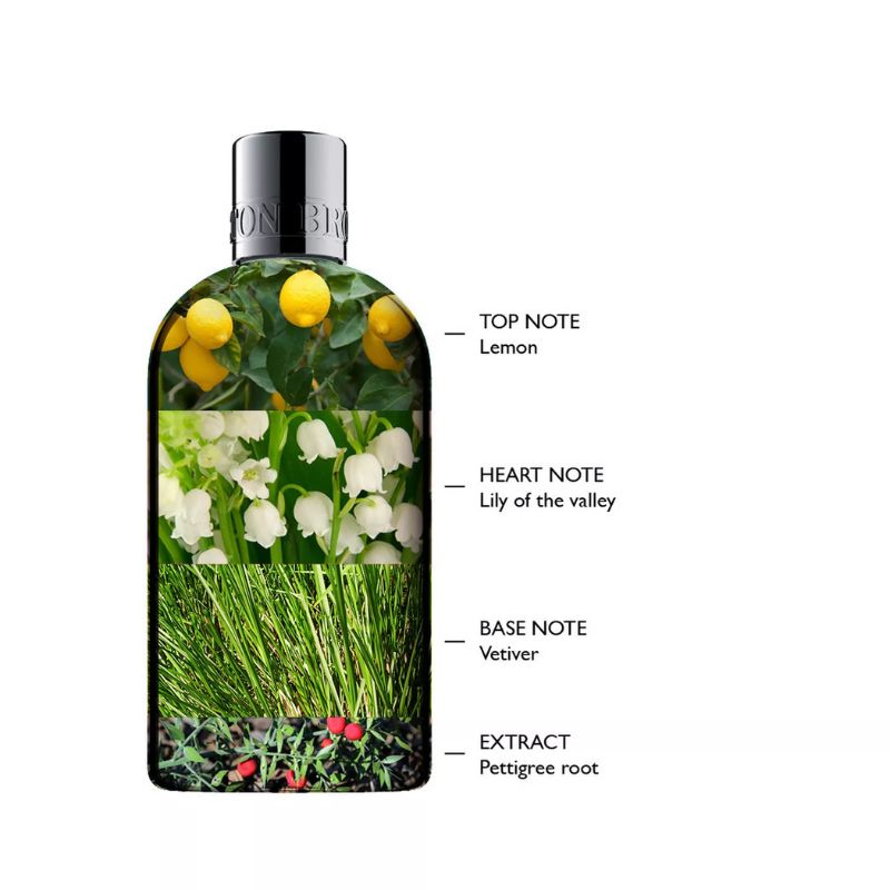 Molton Brown Pettigree Dew Soothing Hand Lotion 300ml
