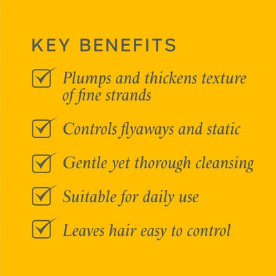 Philip Kingsley Body Building Shampoo 250ml and Moisture Balancing Conditioner 200ml Duo