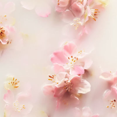 RITUALS The Ritual of Sakura Cherry Blossom & Rice Milk Concentrated Refill Hand Wash 100ml
