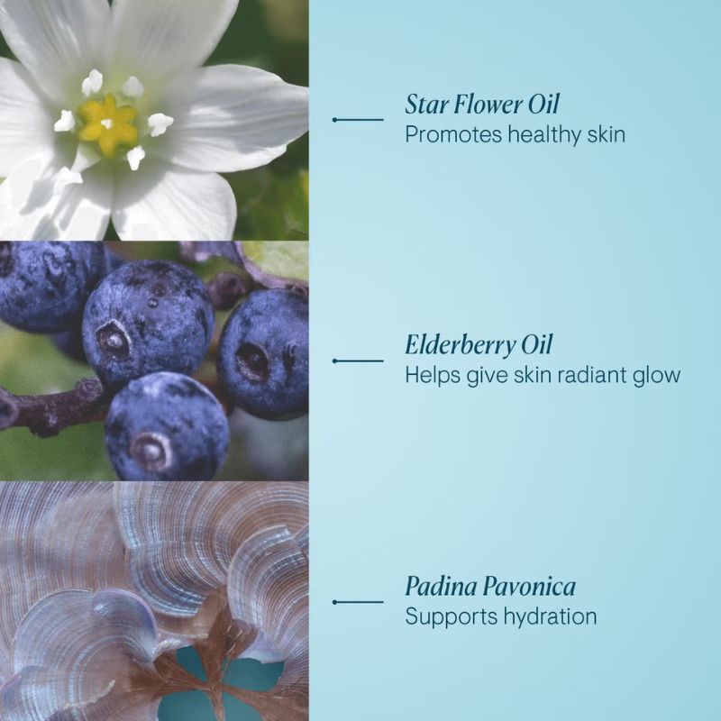 EXCLUSIVE Elemis The Cleansing Edit (Worth £40.50)
