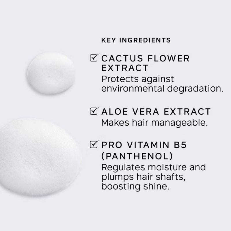 Philip Kingsley Volumising Froth Root Lift Mousse 150ml