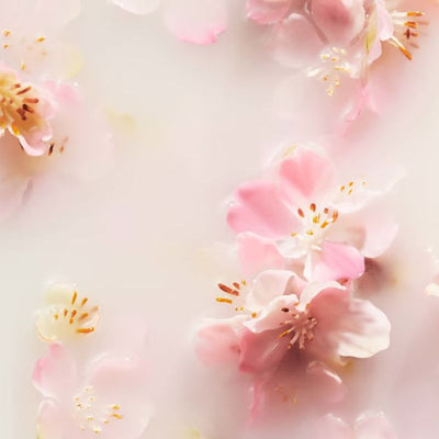 RITUALS The Ritual of Sakura Cherry Blossom & Rice Milk Car Air Freshener 2x3 g