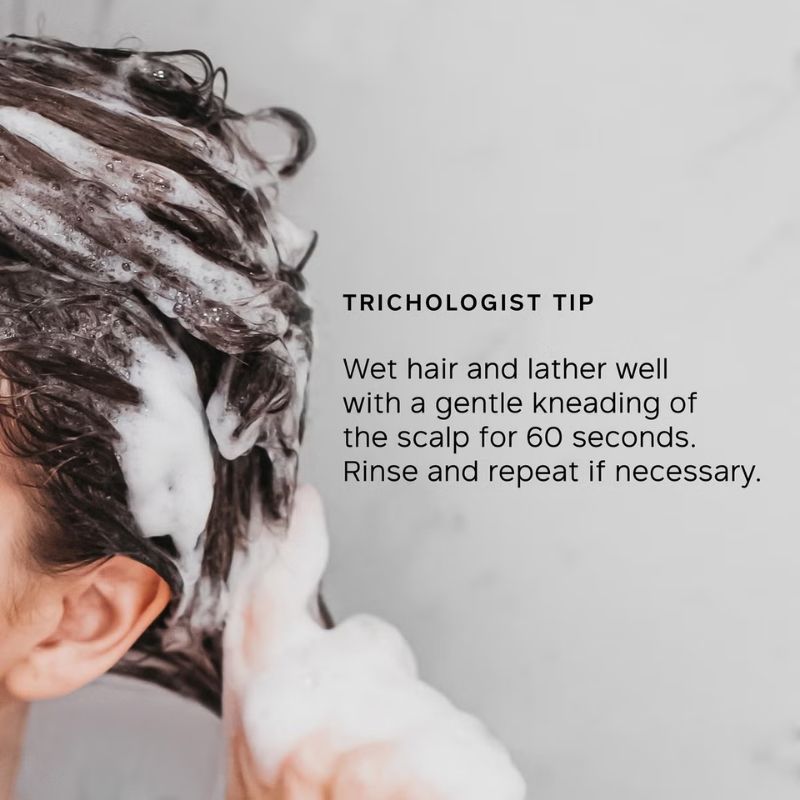 Philip Kingsley Moisture Balancing Shampoo (250ml)